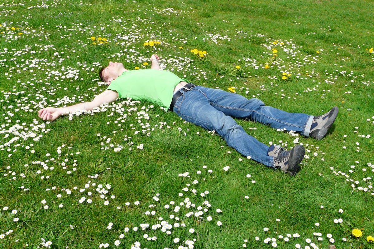 High Angle View of Lying Down on Grass